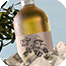 /Style%20Library/images_news/n_AdestorPlus_66x66.png